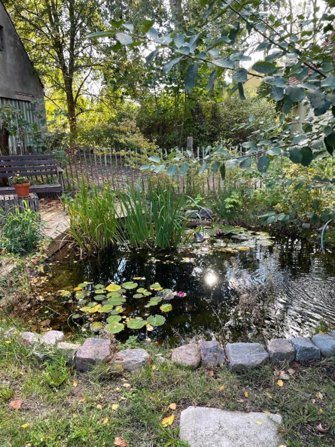Gaestehaus Kleiner Wacholder Bad Doberan Buitenkant foto